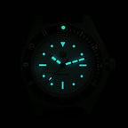 Watchdives WD1972 Quartz Watch VH31 Sweep Seconds Movement Sapphire Crystal BGW9 Luminous 20Bar Waterproof Vintage Men Watches