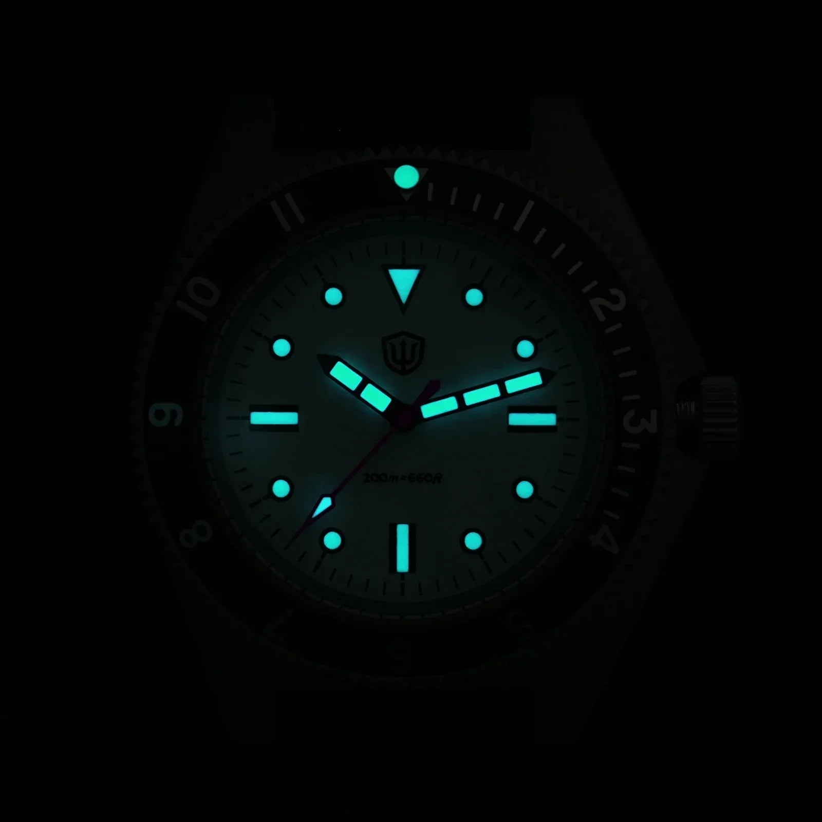 Watchdives WD1972 Quartz Watch VH31 Sweep Seconds Movement Sapphire Crystal BGW9 Luminous 20Bar Waterproof Vintage Men Watches