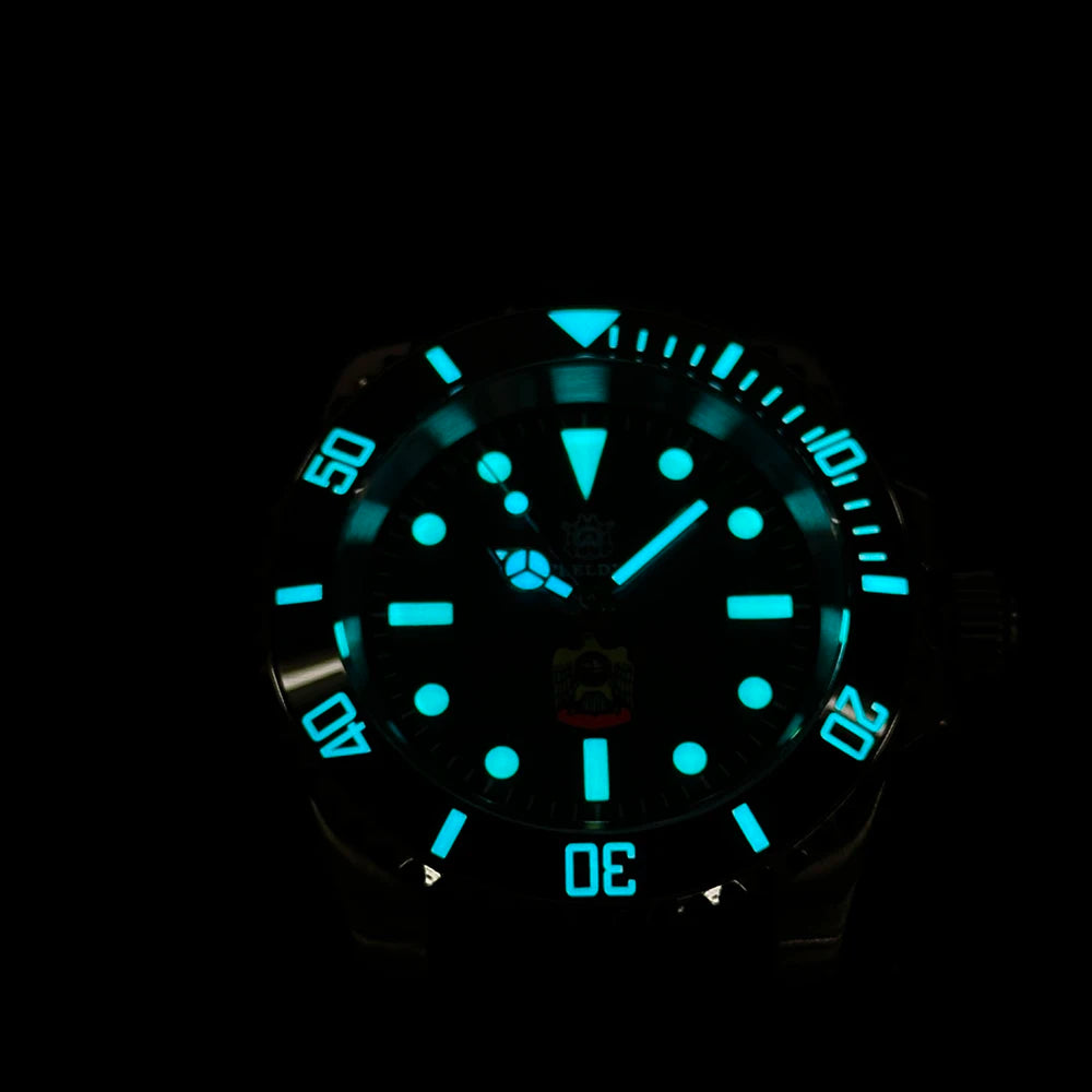 STEELDIVE SD1954 Black Dial 41MM Stainless Steel NH35 Automatic Movement What Ghost Mens 300M Dive Watch Reloj Sapphire Glass